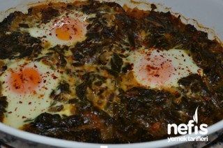 Fırında Yumurtalı Ispanak Tarifi