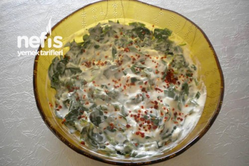 Yoğurtlu Semizotu Salatasının Yapılışı Tarifi
