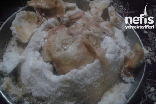 Tuzda Tavuk Yapilisi Nefis Yemek Tarifleri Tuzda Tavuk Yapilisi Nefis Yemek Tarifleri