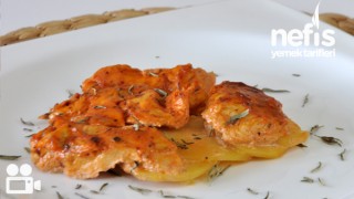 Fırında Kremalı Salçalı Tavuk-Patates Tarifi
