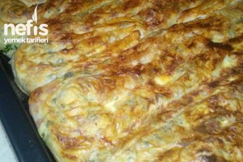 Ispanaklı Peynirli Börek Tarifi Nefis Yemek Tarifleri Suna Kalfa