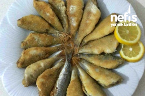 Mısır Unlu Mercan Balığı Kızartması Tarifi