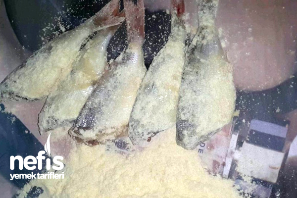 Mısır Unlu Mercan Balığı Kızartması 2