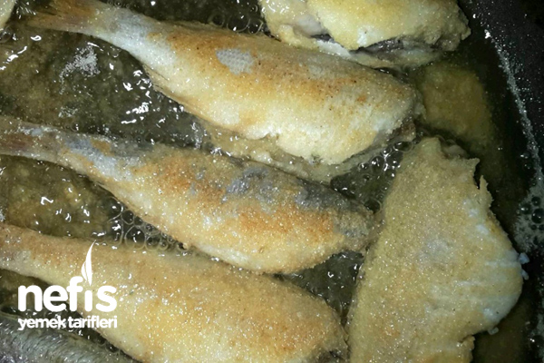 Mısır Unlu Mercan Balığı Kızartması 3