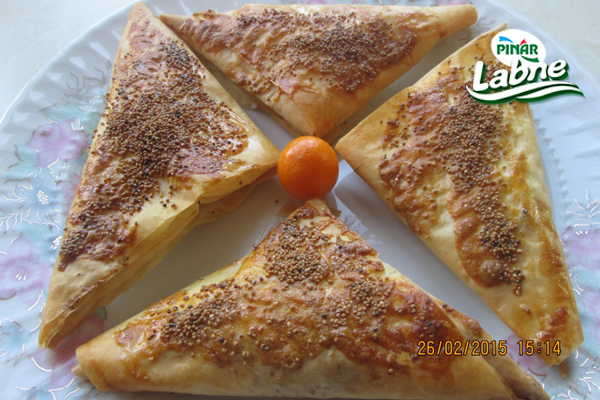 Haşhaşlı Pınar Labneli Börek