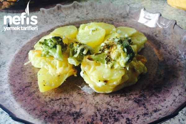 Patates Brokoli Gratin (kartoffelauflauf)