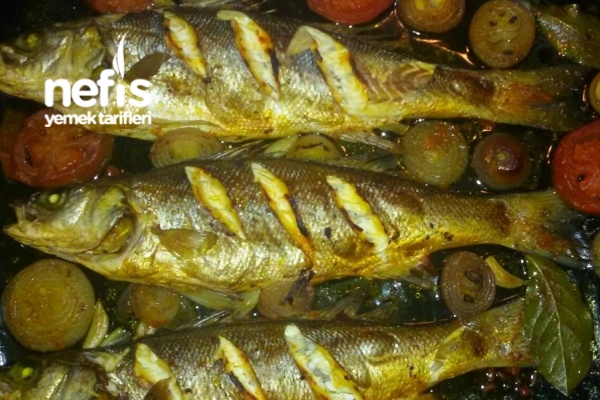firinda balik tarifi nefis yemek tarifleri 564425