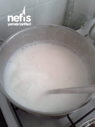 Evde Taş Gibi Yogurt Mayalama