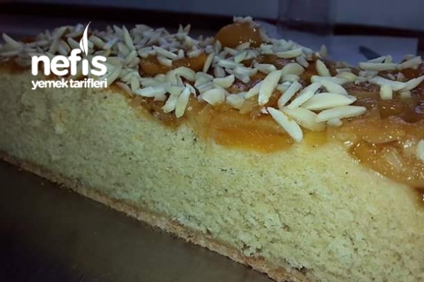 Kayısılı Kek Tarifi Nefis Yemek Tarifleri 688702