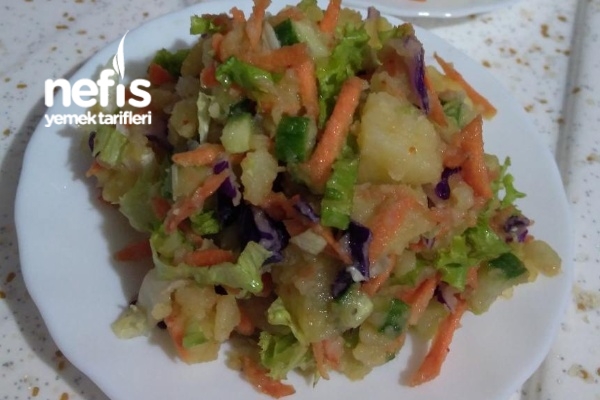 Renkli Patates Salatası Tarifi