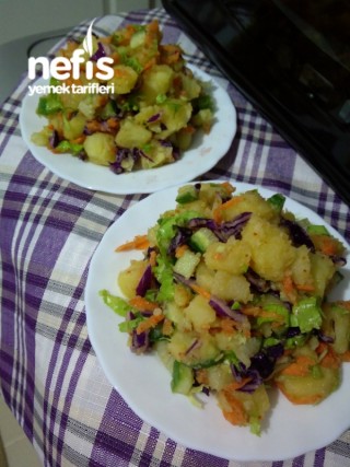 Renkli Patates Salatasi