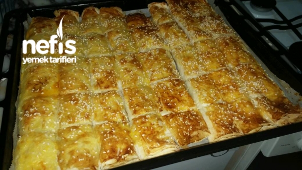 baklavalık yufka ile kıymalı börek