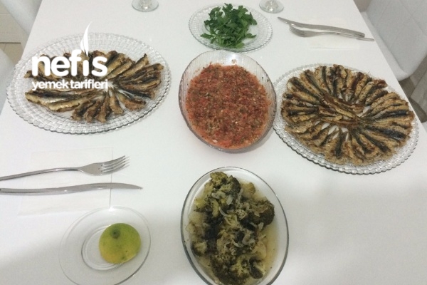 Gelibolu Sardalyasi Hamsisi Nefis Yemek Tarifleri