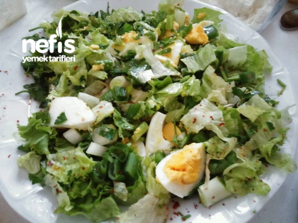 Yumurta Salatasi