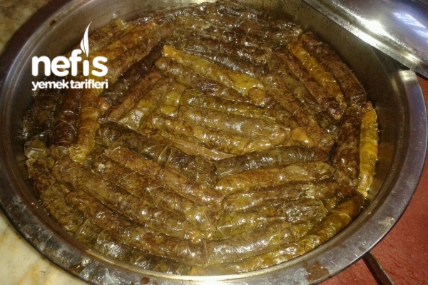 yaprak sarma nefis yemek tarifleri 1377784 yaprak sarma nefis yemek tarifleri 1377784