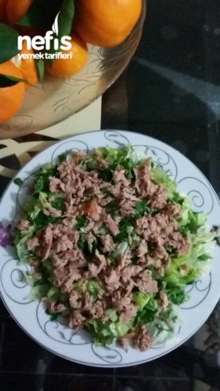 Ton Balıklı Salatam