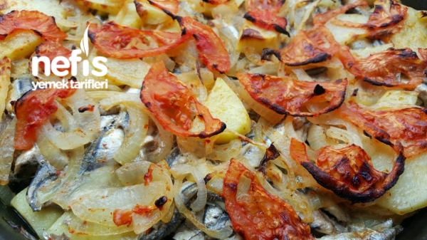 Farklı Hamsi Tava