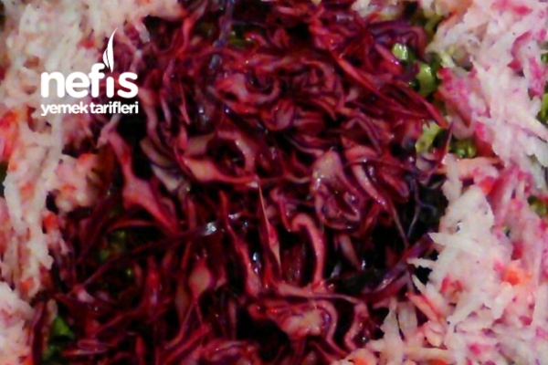 Nefis Salata