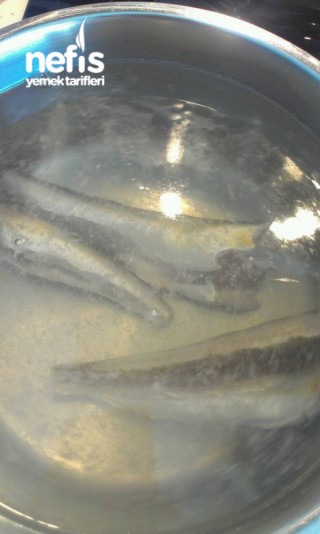 Kırlangıç Balığı Çorbası