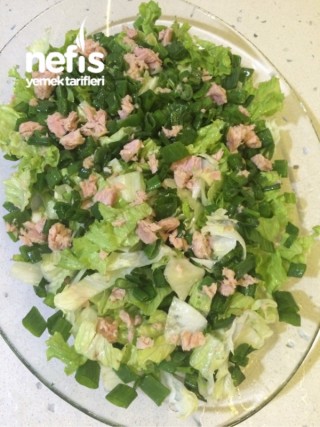 Ton Balıklı Marul Salatası