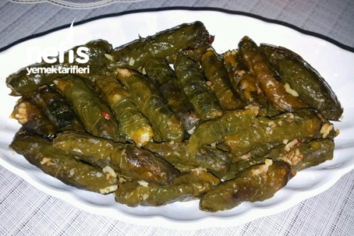Kıymalı Pazı Sarması Tarifi Videosu Kıymalı Pazı Sarması Tarifi Videosu