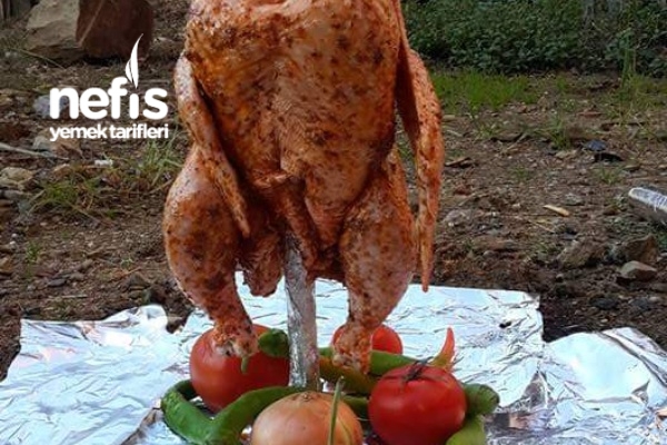 Tenekede Tavuk Nefis Yemek Tarifleri 1824064 Tenekede Tavuk Nefis Yemek Tarifleri 1824064