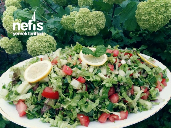 Ekşili Soslu Mevsim Yeşillikleri Salatası