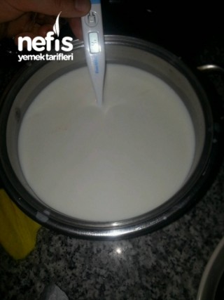 Hazız Sütle(pastörize Süt)yogurt Yapımı