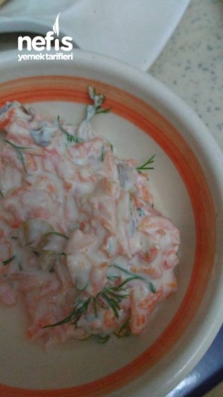 Yoğurtlu Havuç Salatası