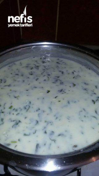 Ispanaklı Yoğurt Çorbası