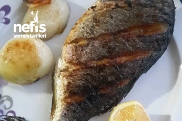 Izgarada Defne Yapraklı Barbunya 84