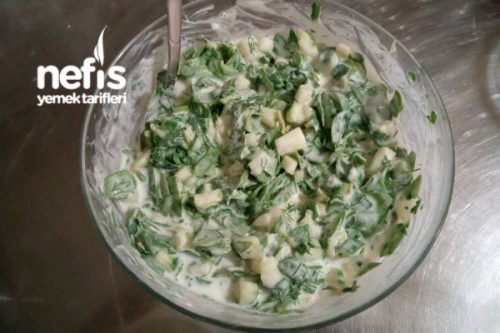 Bol Yeşilli Semizotu Salatası Tarifi