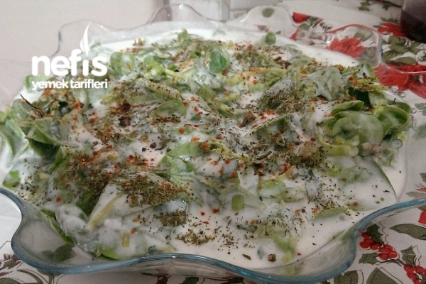 Yoğurtlu Semizotu Salatası (Yaz İçin Hafif Bir Tarif)