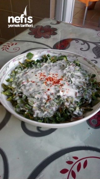 Enfes Yogurtlu Semizotu Salatası