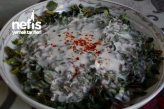 Enfes Yoğurtlu Semizotu Salatası Tarifi