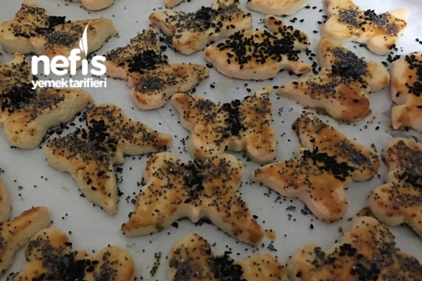 Çıtır Çıtır Tuzlu Kurabiye Nefis Yemek Tarifleri 2265423