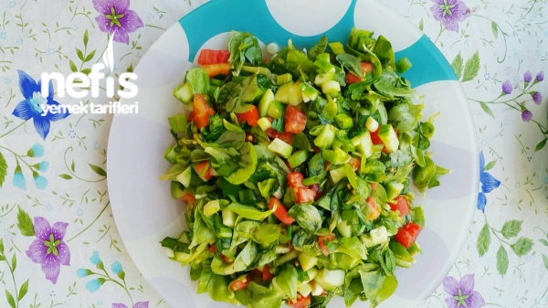 Semiz Otu Salatası