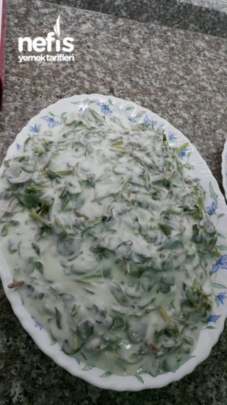 Yoğurtlu Sarımsaklı Semizotu Salatası
