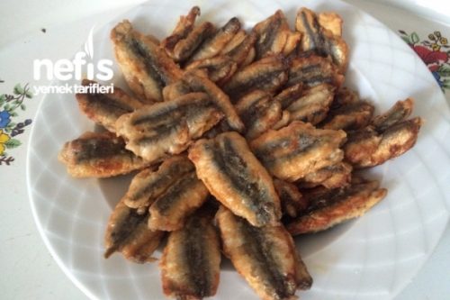Hamsi Kuşu Tarifi Videosu Hamsi Kuşu Tarifi Videosu