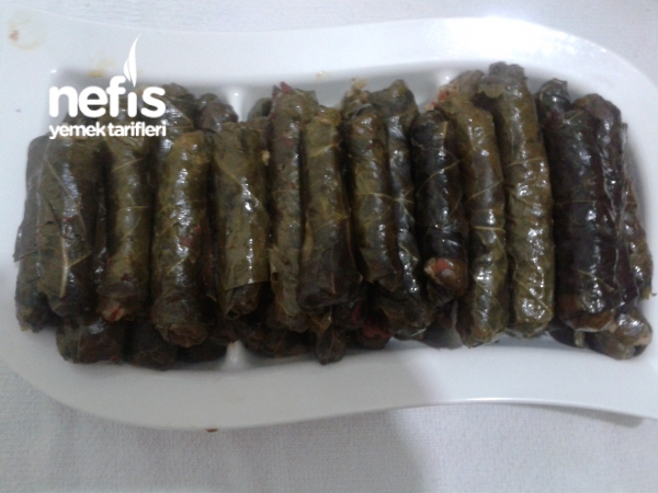 Nefis Yaprak Sarma