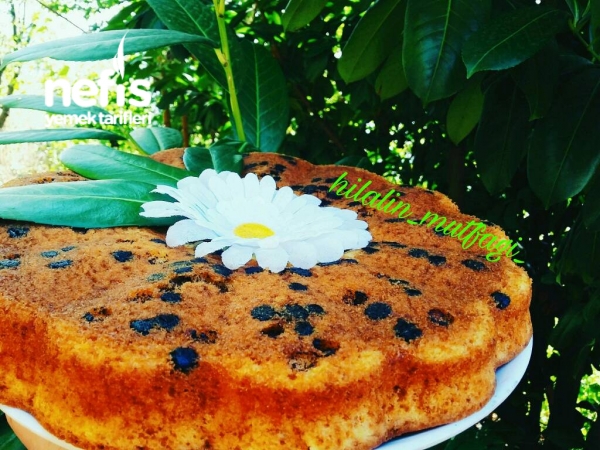 Portakallı Damla Çikolatalı Nefis Kek Nefis Yemek Tarifleri
