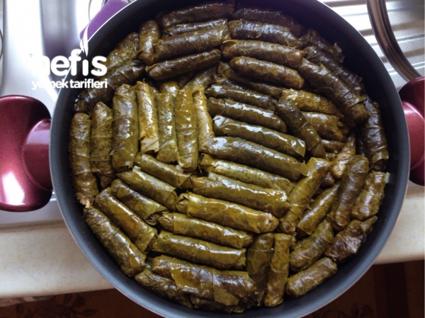 Sarma Dolma