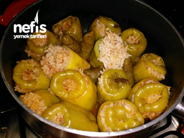 Karışık Dolma