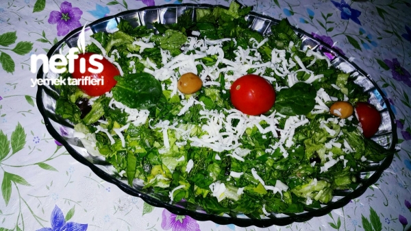 Yeşillik Salatası