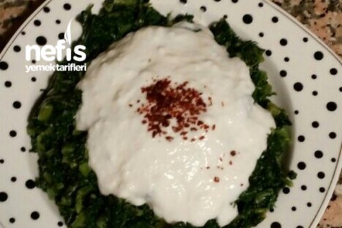 Yoğurtlu Pazı Kavurması Tarifi Videosu 39