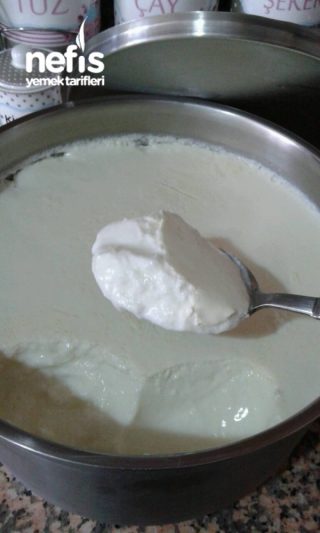 Yogurt Mayalama(sert Ve Lezzetli)