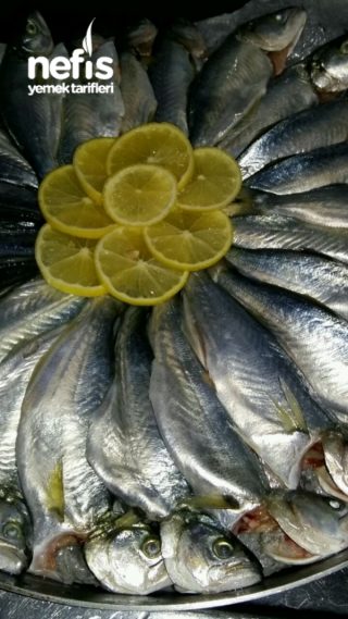 Fırında Cinekop Balık