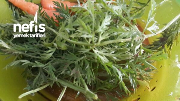 nefis yemek tarifleri