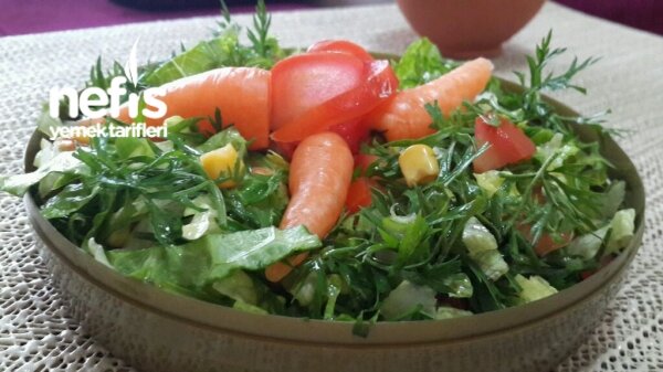 nefis yemek tarifleri