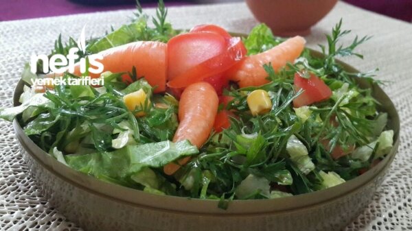 nefis yemek tarifleri